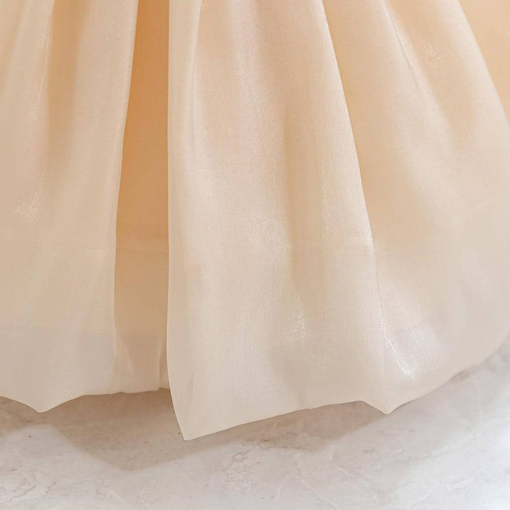 Baby Flower Girl Dress Wedding Guest Birthday Party Princess Dresses Tutu