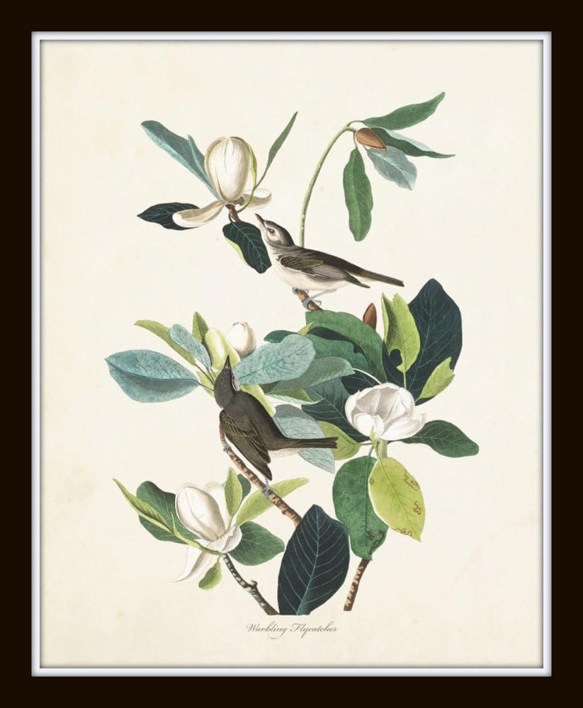 Bird Wall Art Audubon Birds Print Set No. 6, 11X14 SET OF 2, Unframed