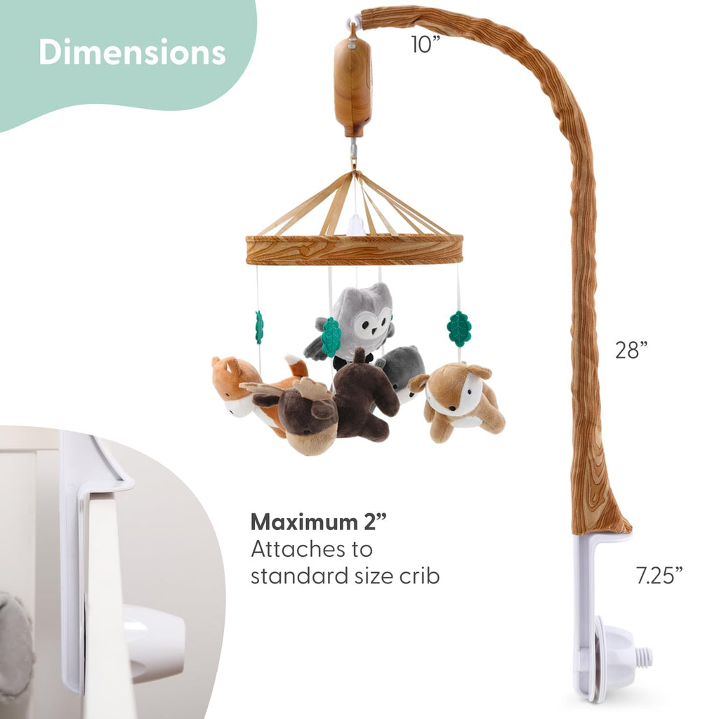 Crib Mobile for Boys or Girls - Woodgrain Musical Baby Crib Mobile with 12 Lullabies, Whimsical Woodland Baby