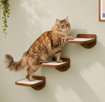 Cat Wall Shelves, Walnut Floating Cat Steps Set of 3