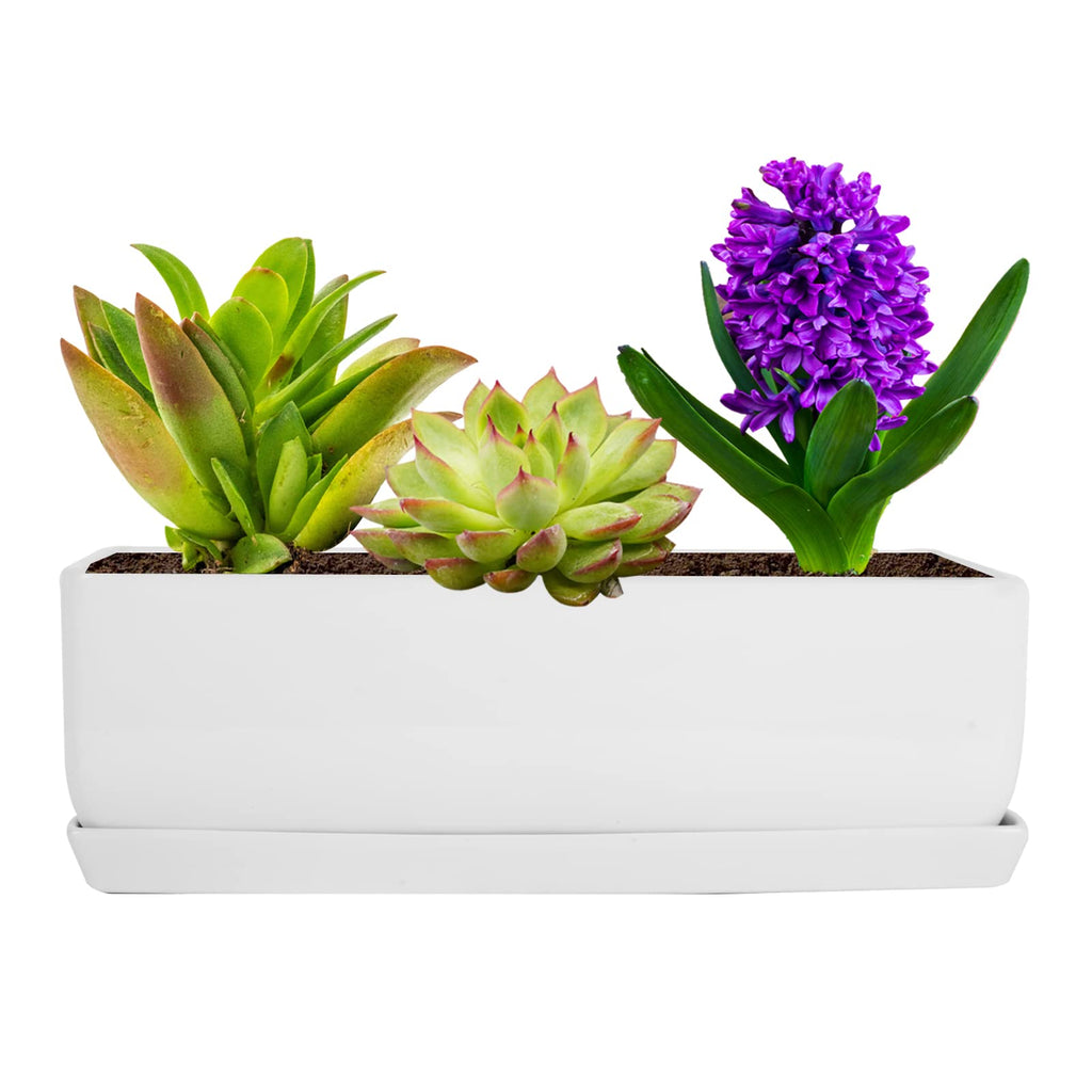 14 Inch Rectangular Modern Minimalist Ceramic Succulent Planter Pot - Window Box with Saucer, Office Desktop Potted