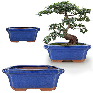 3 Pack Ceramic Rectangular Bonsai Tree Planter Pot Set 6"+7"+9", Cactus Succulent Planter Blue Glazed with Mesh Hole
