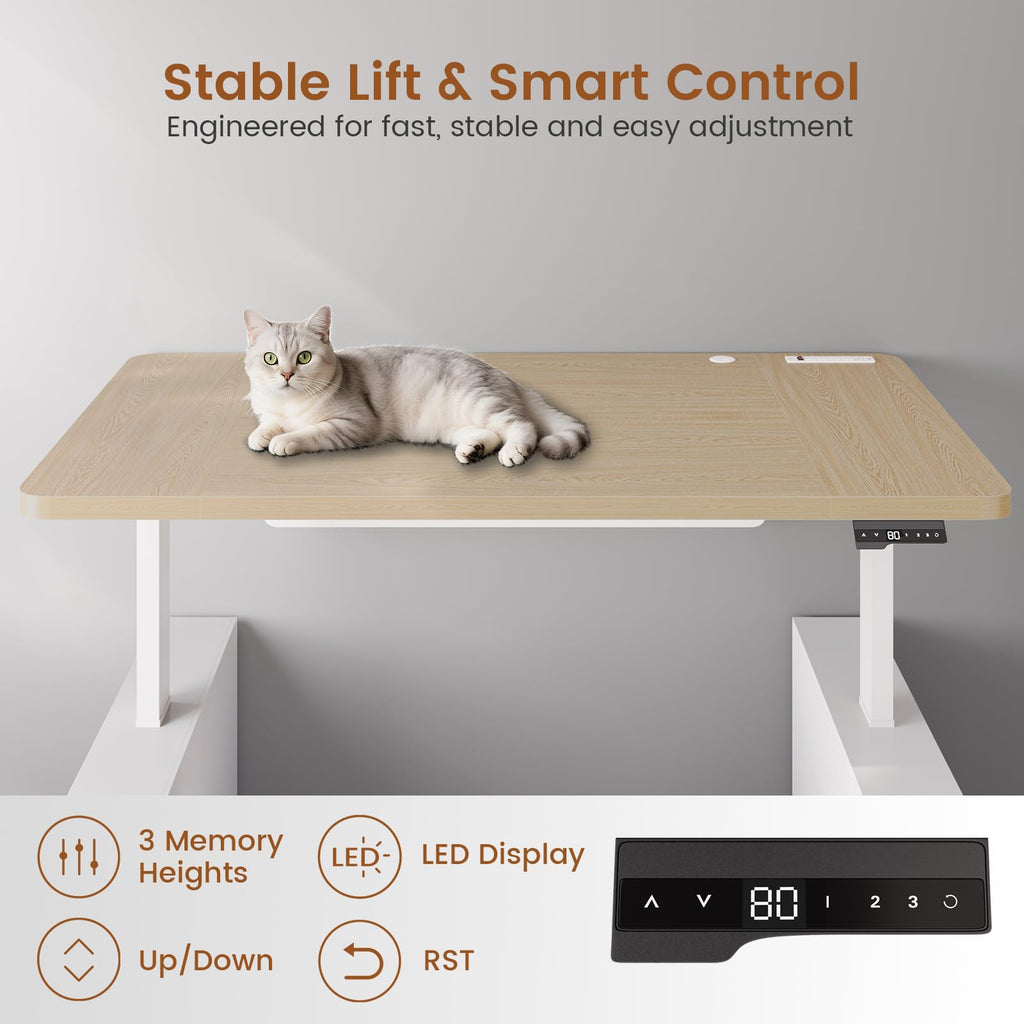 63" Executive Standing Desk with Storage, Executive Height Adjustable Desk with Power Outlets, Large Computer Office