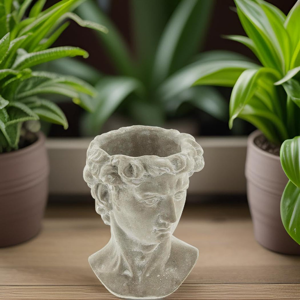 Greek Statue Head Cement Planter - Unique Sculpture Plant Pot for Indoor Outdoor Home Garden Decor (6")
