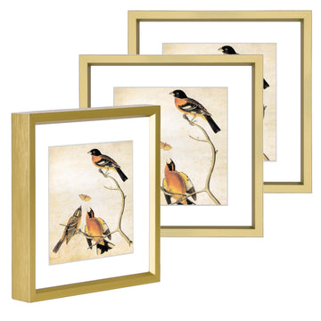 5x5 Brass Square Picture Frame HD Glass 3Pack 4x4 Mat Wall Table
