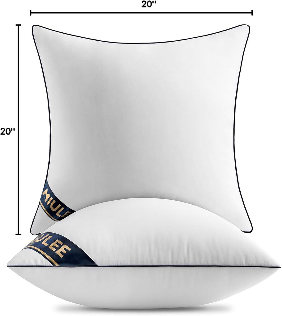 20x20 Pillow Inserts 2 Pack, Premium Down Alternative Throw Pillows - Set of 2