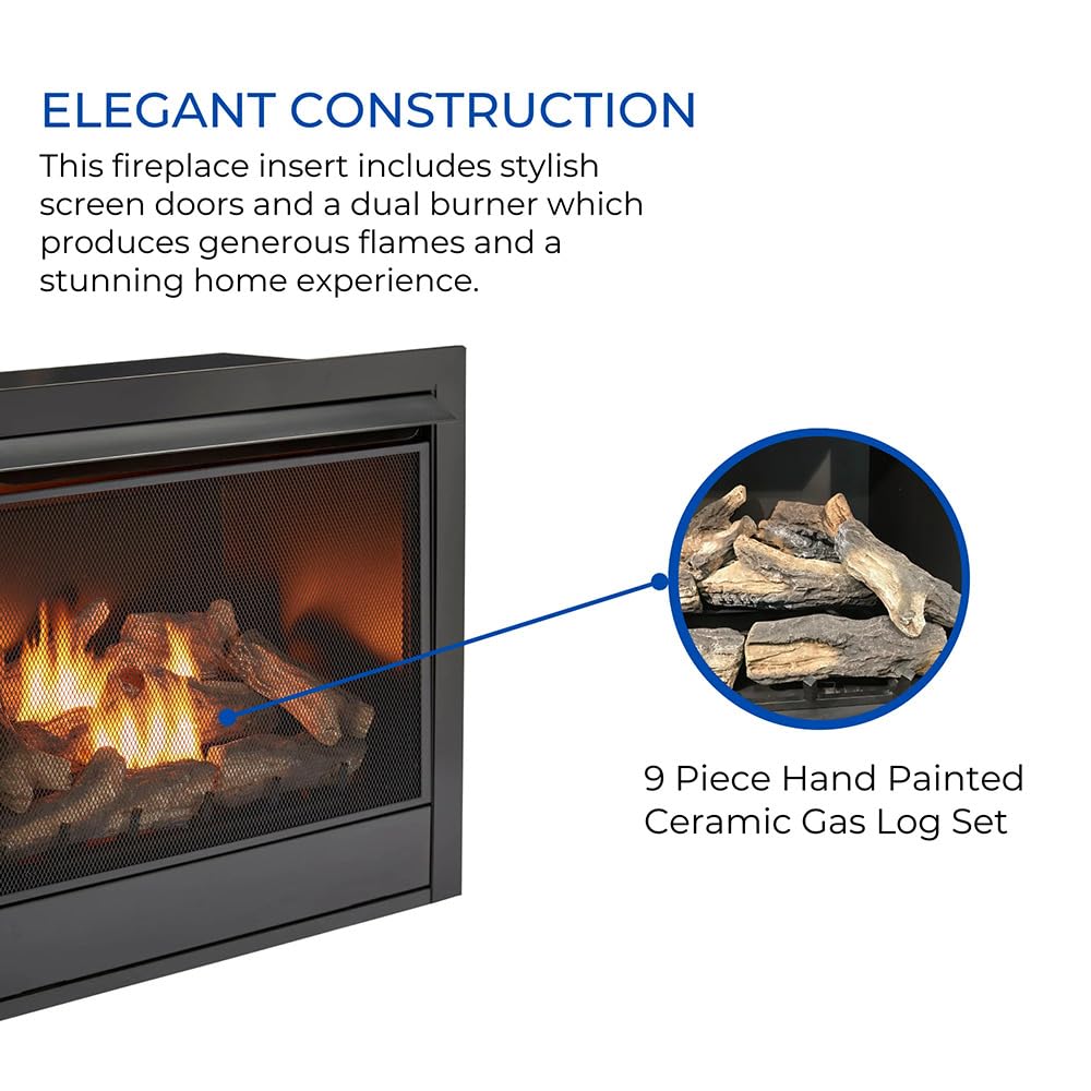 Dual Fuel Ventless Gas Fireplace Insert - 32, 000 BTU, Remote Control - Model# FDI32R