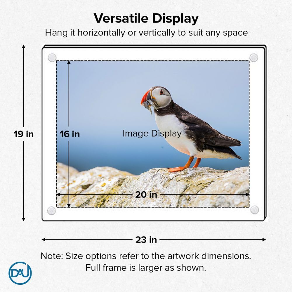 Acrylic Floating Frames Gold Standoffs(single) 16" x 20" Clear Acrylic Frames for Wall Mount Floating Picture Frame