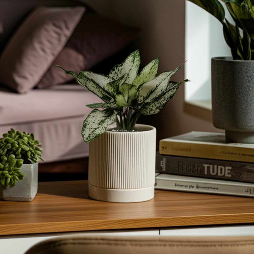 6 Inch Ceramic Plant Pot with Drainage & Saucer - Indoor Planter for Succulents, Cacti & Aloe Vera - Striped Design