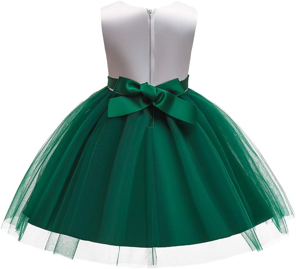 Baby Girls Flower Dress Embroidery Paqeant Party Wedding Lace Dresses