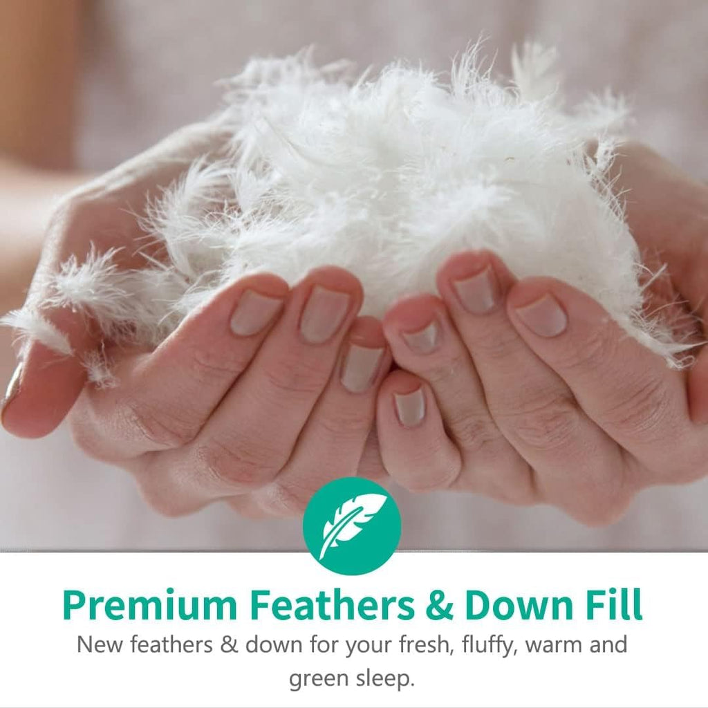Organic Full Feathers Down Comforter - All Seasons 100% Cotton Quilted Duvet Insert