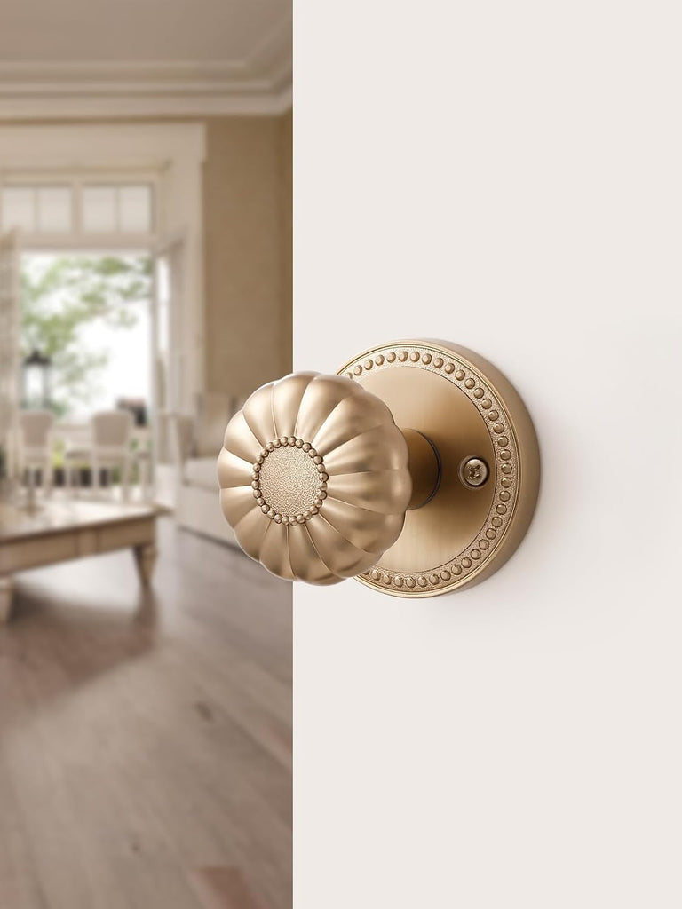 Door Knob Champagne Bronze Passage Interior 1 Pack