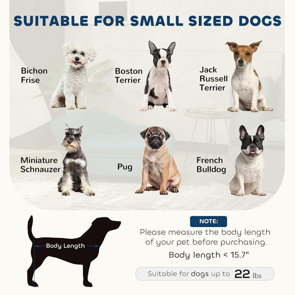 Luxury Fancy Dog Couch with Hidden Storage, Small Dog Sofa Bed with 2" Soft Foam, Modern Pet Furniture for Puppies &