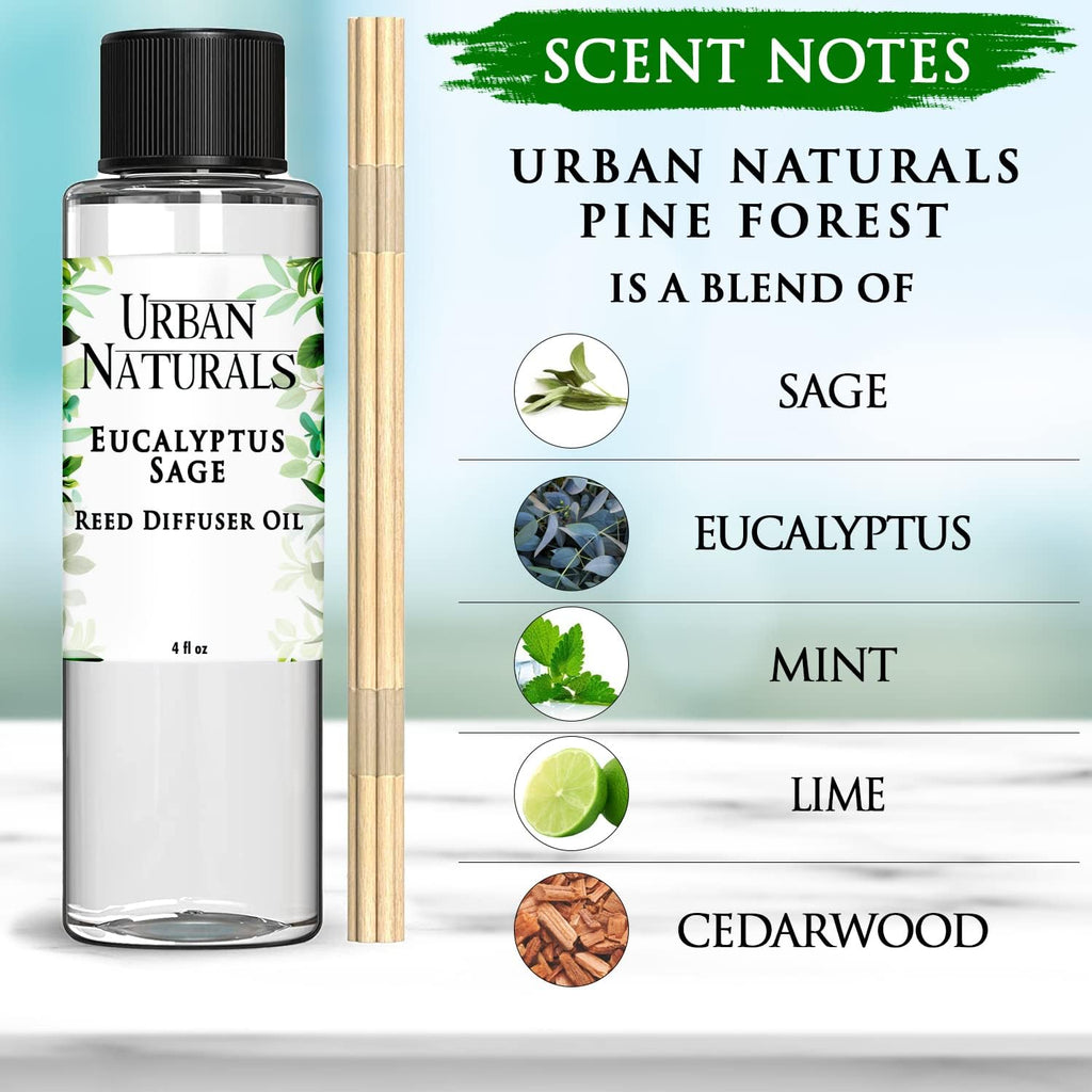 Eucalyptus & Sage Oil Reed Diffuser Refill | Eucalyptus, Sage, Mint, Lime and Cedarwood| Includes a Free Set of Reed - Set of 4