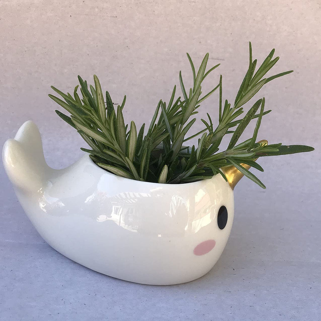 Planter for Succulent Plant Ceramic Plant Pots Indoor, Novelty Planters Garden (Wale w Gold Horn, 2)