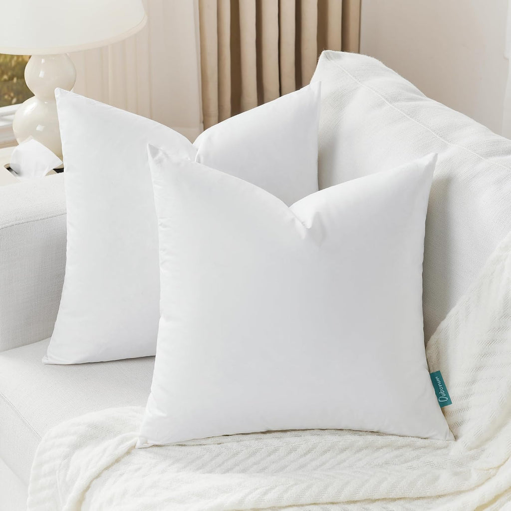 22 x 22 Down Feather Throw Pillow Inserts - Set of 2