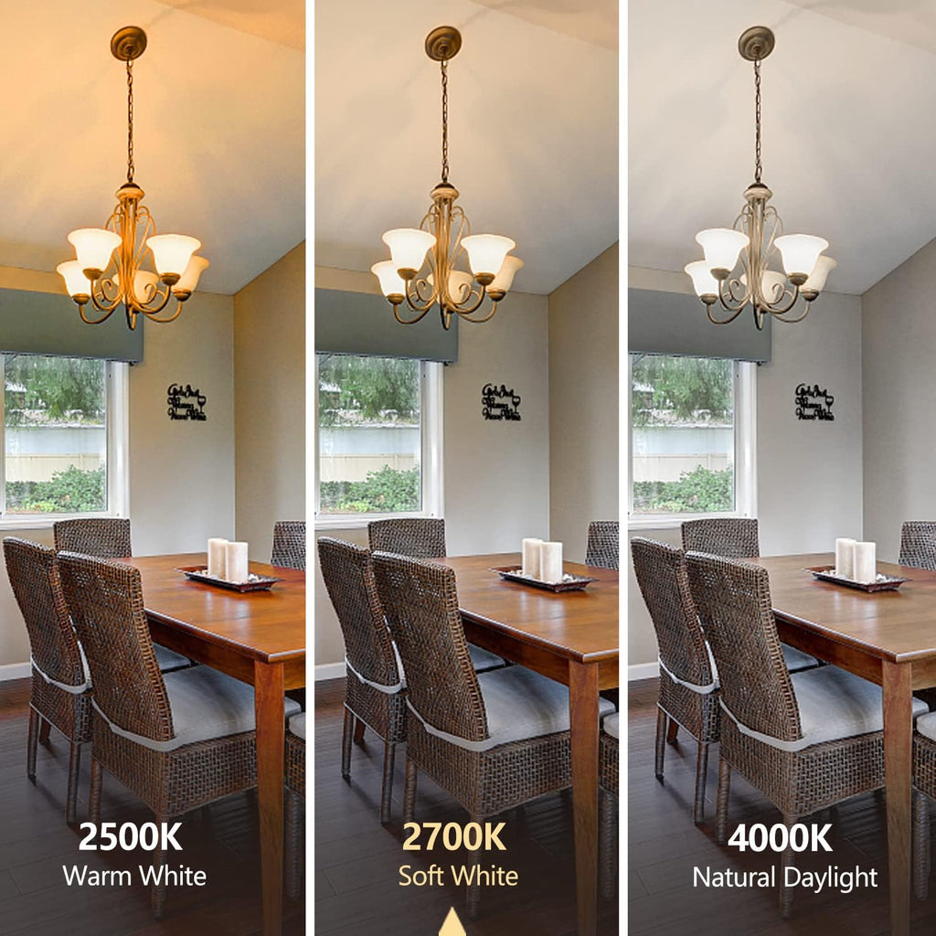 A21 Dimmable LED Edison Bulbs, 2700K Soft White, 2 Pack