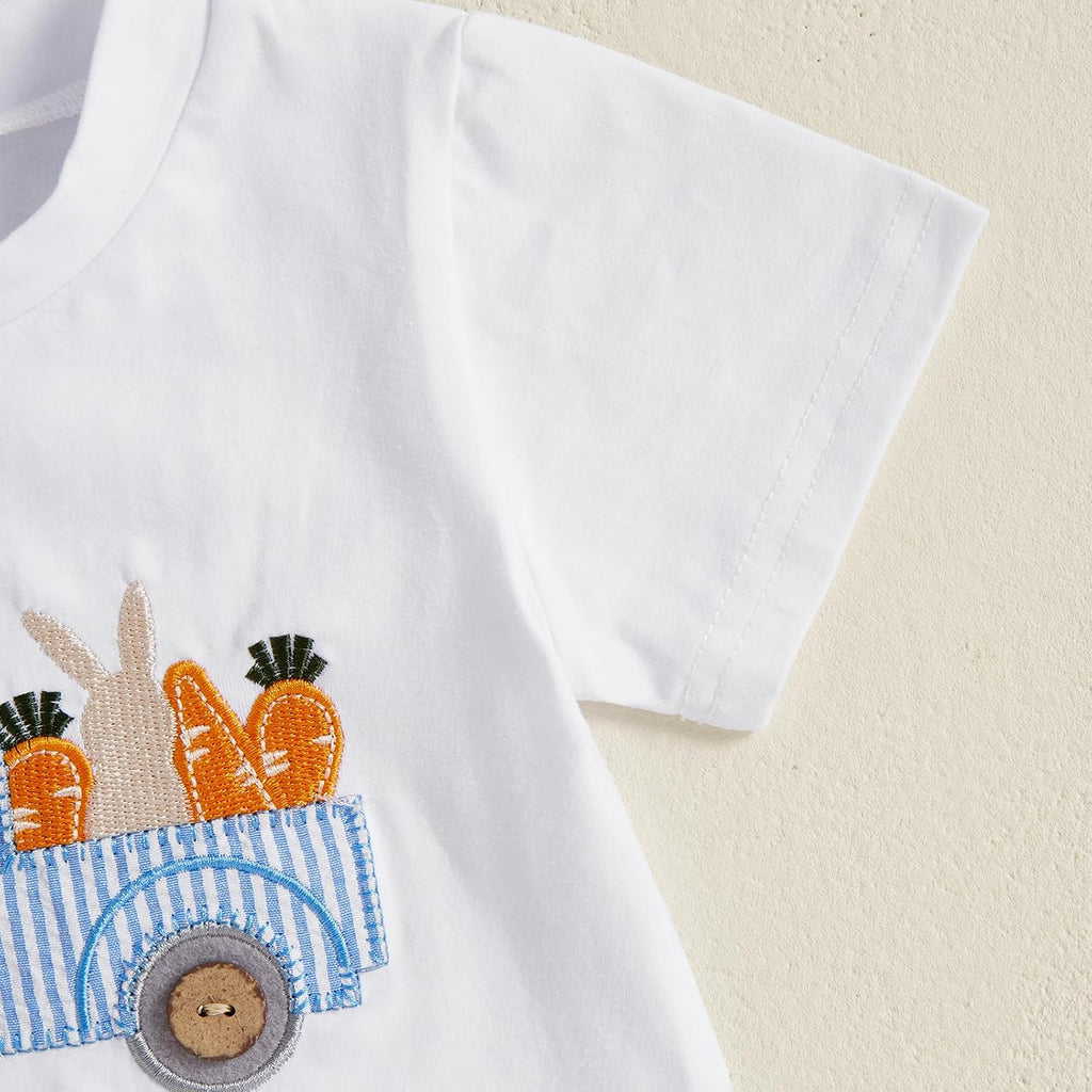 Toddler Boy Easter Outfit Baby Boy Bunny Short Sleeve T Shirt And Shorts Set 2 Piece Spring Summer Clothes