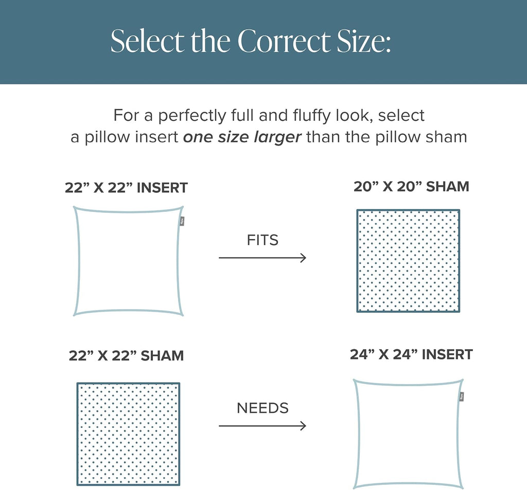Throw Pillow Insert 22 x 22 Inches (, White) - Set of 2