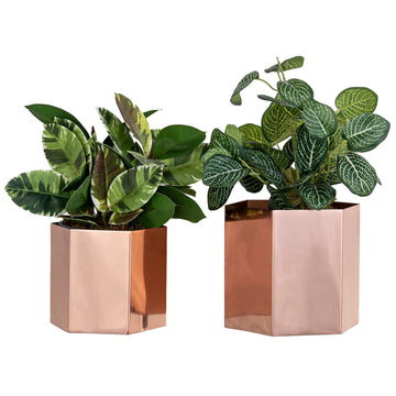 Copper Tone Metal Hexagon Succulent Cactus Planter Pots, Set of 2