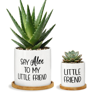 Say Aloe to My Little Friend Planter Pot Plant Lover Set with Bamboo Tray