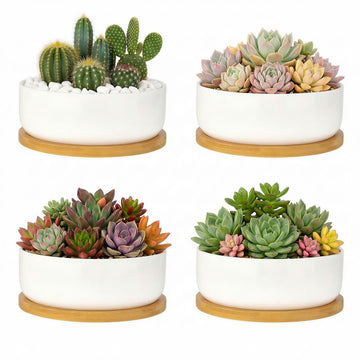 4 Pack 6" Ceramic Succulent Pots, White Planters with Drainage Tray