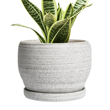 Ceramic Planters for Indoor Plants - 6 Inch Plant Pot with Drainage Hole and Saucer, Small Ceramic Flower Pot, Round