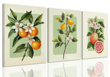 3 Piece Vintage Fruit Canvas Wall Art Trendy Kitchen Wall Art Boho Orange Lemon Grapefruit Pictures Wall Decor Citrus