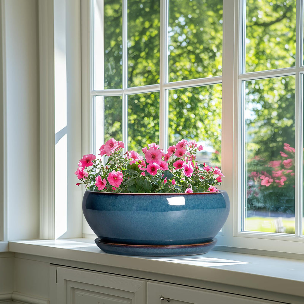 Bonsai Tree Pots - 12 Inch Ceramic Succulent Pots, Large Shallow Planter with Drainage Hole and Saucer, Bowl Round
