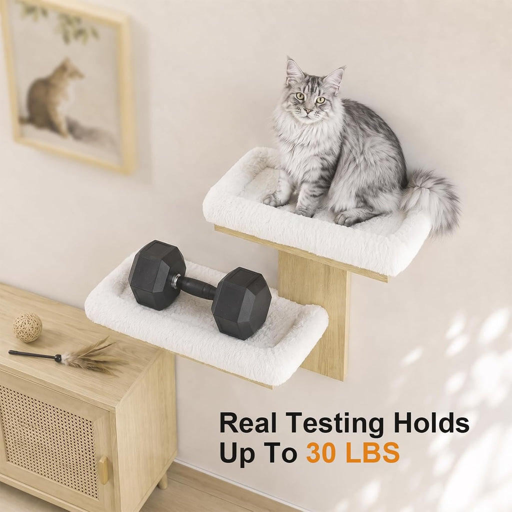 Cat Wall Shelves, Floating Perch for Cats, Wall Mounted Cat Furniture