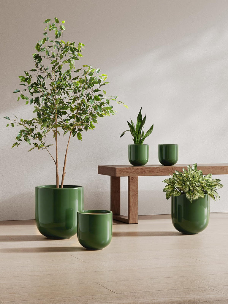 6, 8 & 10 Inch Ceramic Planter Set for Indoor Plants, Bamboo Green