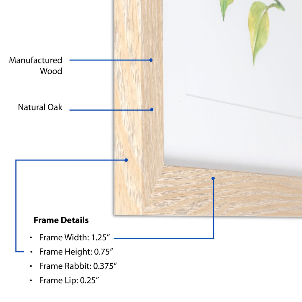 19x37 Inch Brown Picture Frame, This 1.2500 Inch Custom Poster Frame is Natural Oak - Comes with Acrylic and