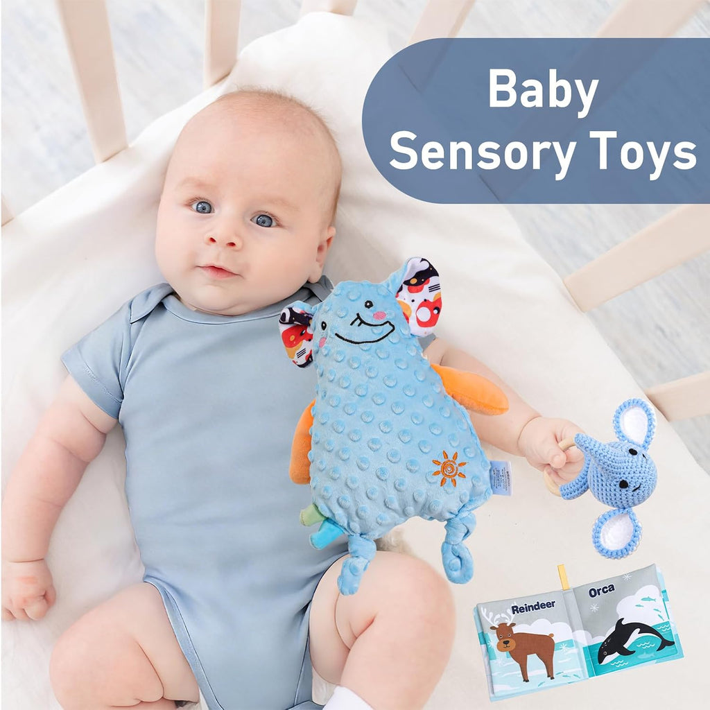 Baby Boy Gifts Basket,Newborn Baby Gifts for Boys,Baby Shower Gift for Baby Boy with Blanket Onesies Toys,Gender