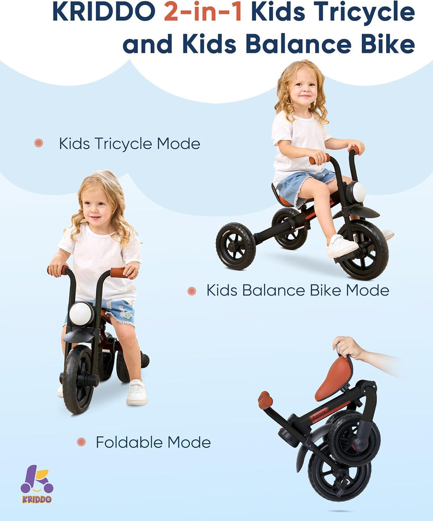 In-1 Foldable Balance Bike and Toddler Tricycle for 2 to 5 Years