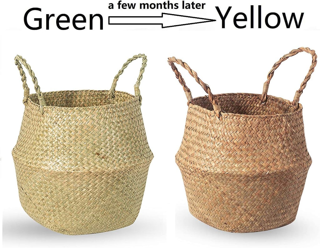Seagrass Belly Basket, Set of 2 Woven Plant Pot Holder Handmade Home Decor for Storage Plants Picnic Grocery