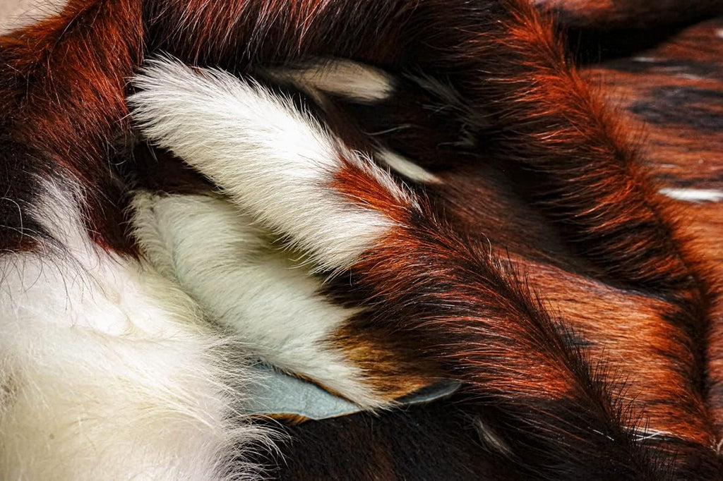 Genuine Cowhide Rug Classic Tricolor Size S/L/XL 5X6/6X7/7X8 FT (XL)