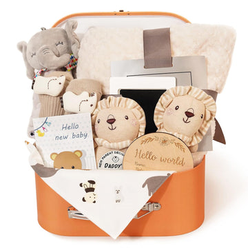 Baby Gift Set for Newborn - 11PCS Baby Shower Gifts Basket with Baby Blanket Baby Rattle, Wooden Keepsake Milestone