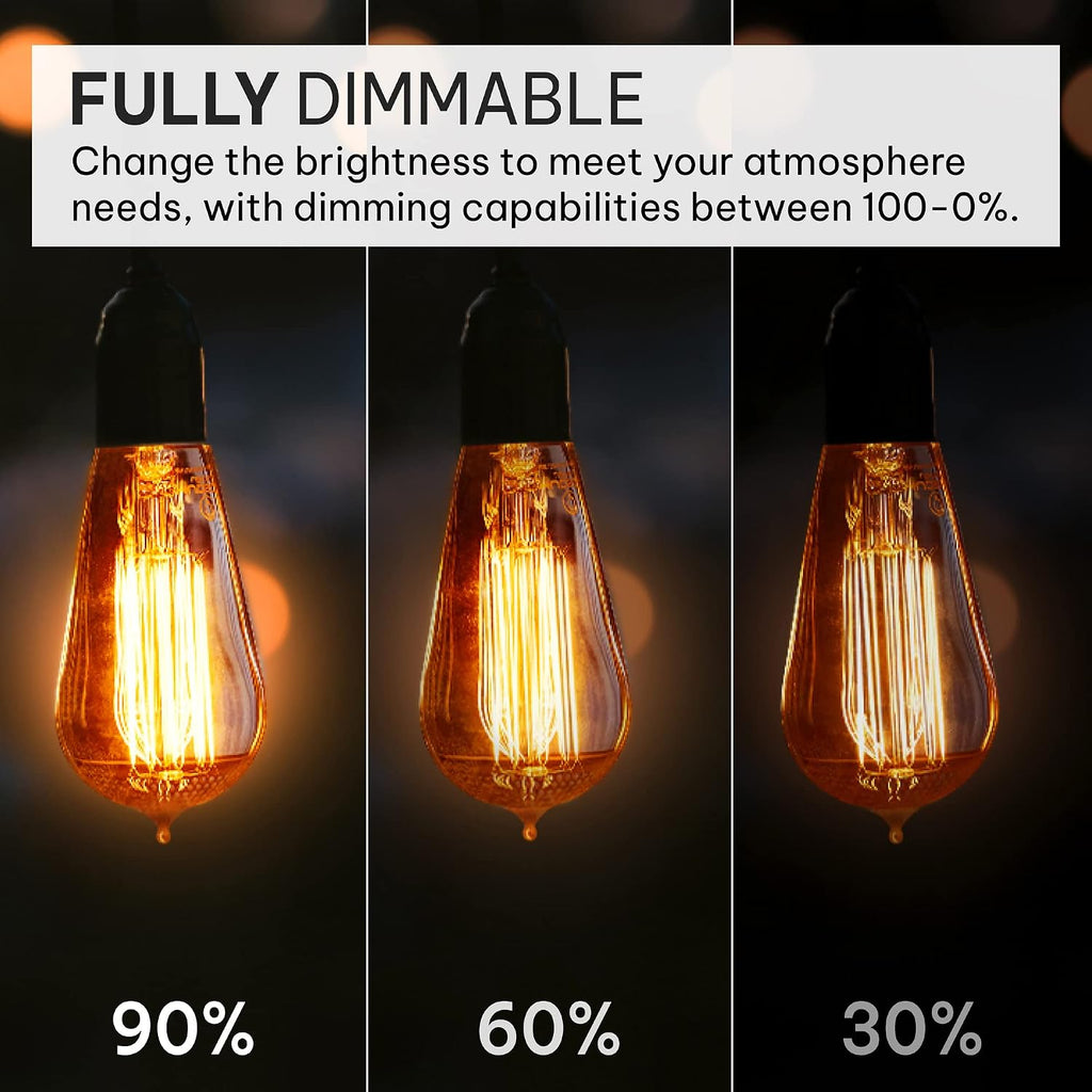 Vintage Incandescent Edison Light Bulbs, 60W, E26/E27 Base, 2100K Dimmable Decorative Lights, ST58 Style Amber Warm