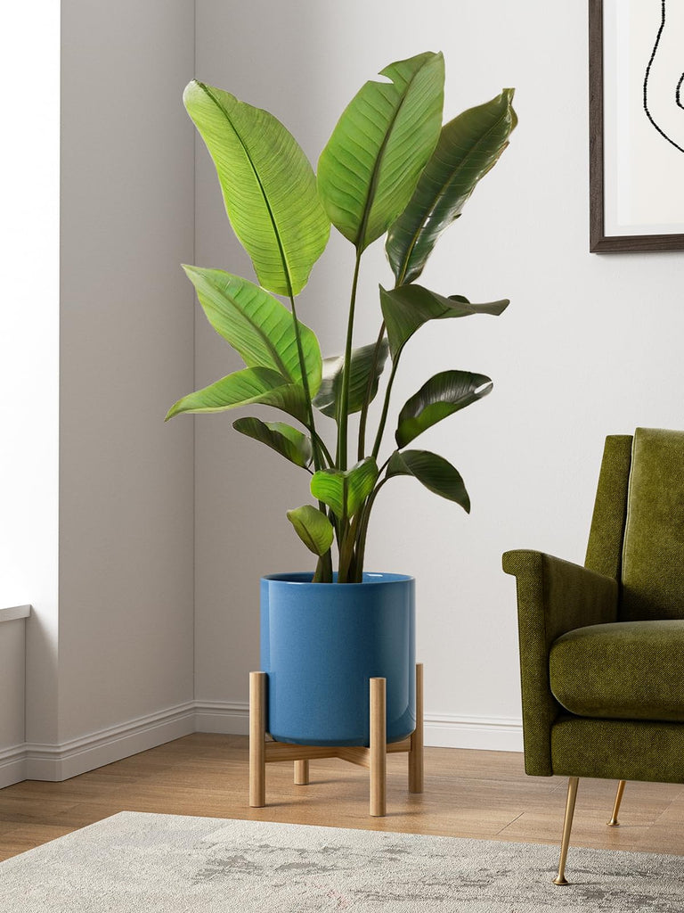 12 Inch Pot for Plants, Ceramic Indoor Planter, Harbor Blue