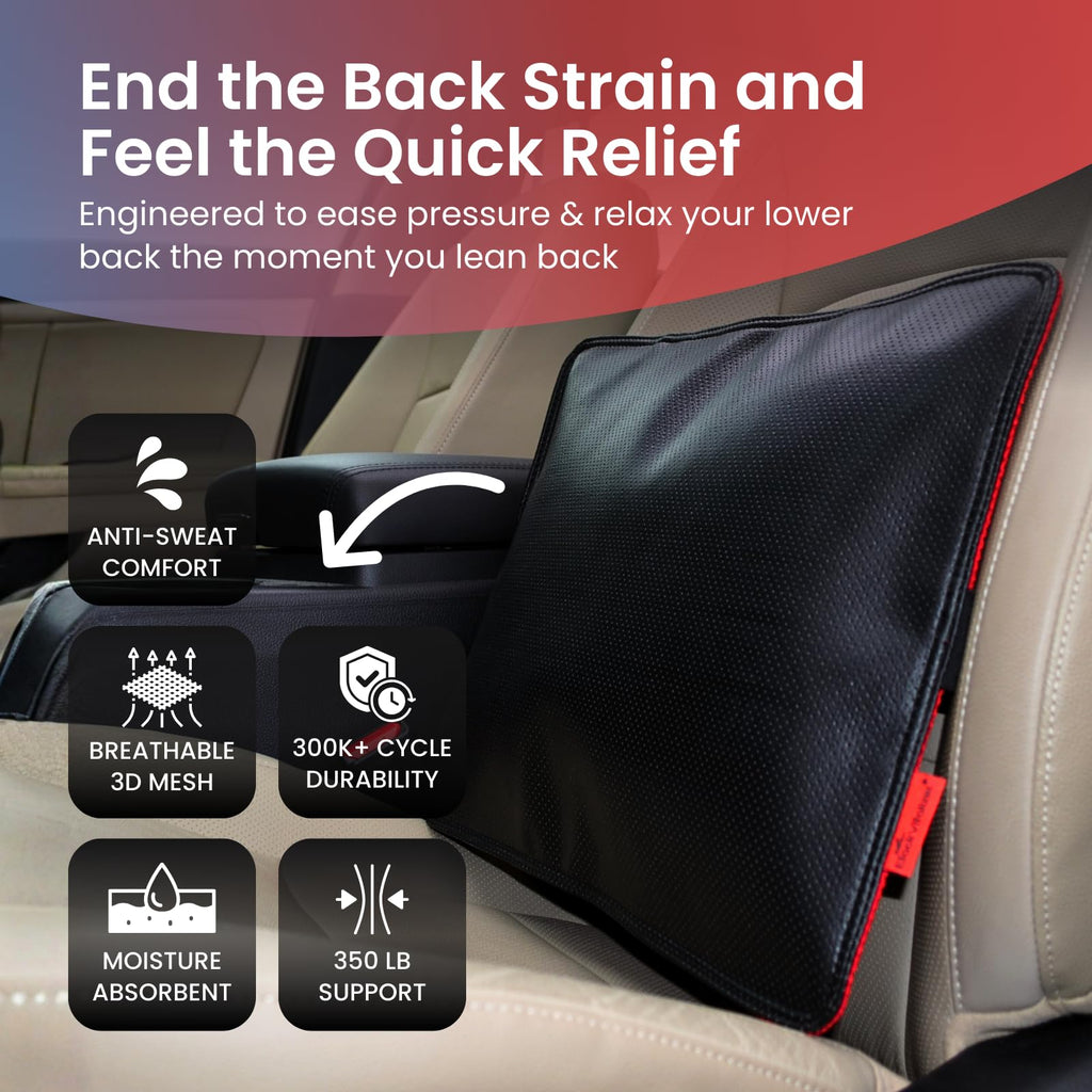 Back Vitalizer Lumbar Support Pillow Chair & Car