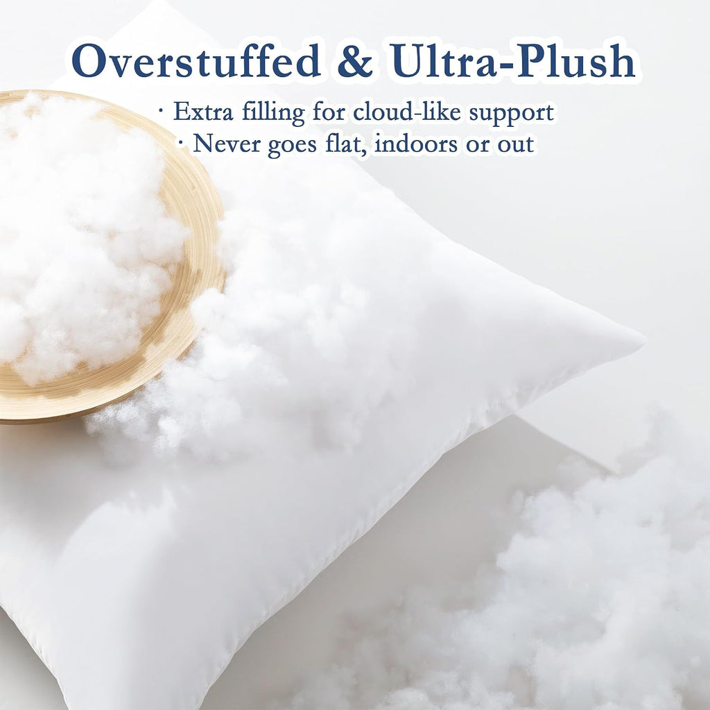 20x20 Outdoor Pillow Inserts, Down Alternative Filling - Set of 2