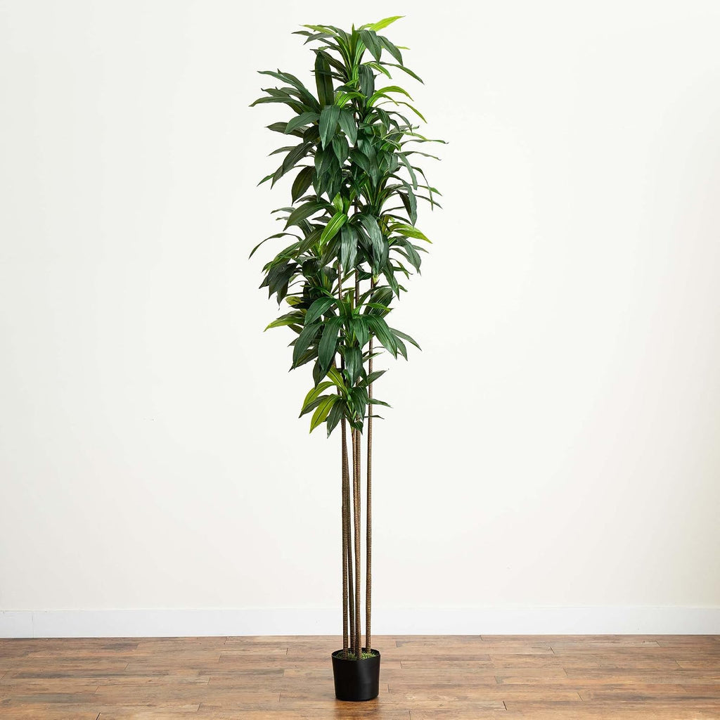 10ft. Artificial Dracaena Tree with Real Touch Leaves
