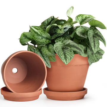 Terracotta Pots Set with Saucer - 2-Pack Ceramic Clay Planters with Drainage Hole, Garden Flower Succulent Pots with
