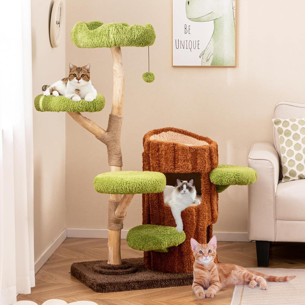 Solid Wood Cat Tree, Cute Cat Tower with Scratching Posts, 2-Tier Tree Hole Cat Condo, Wood Branches, Sisal Panel