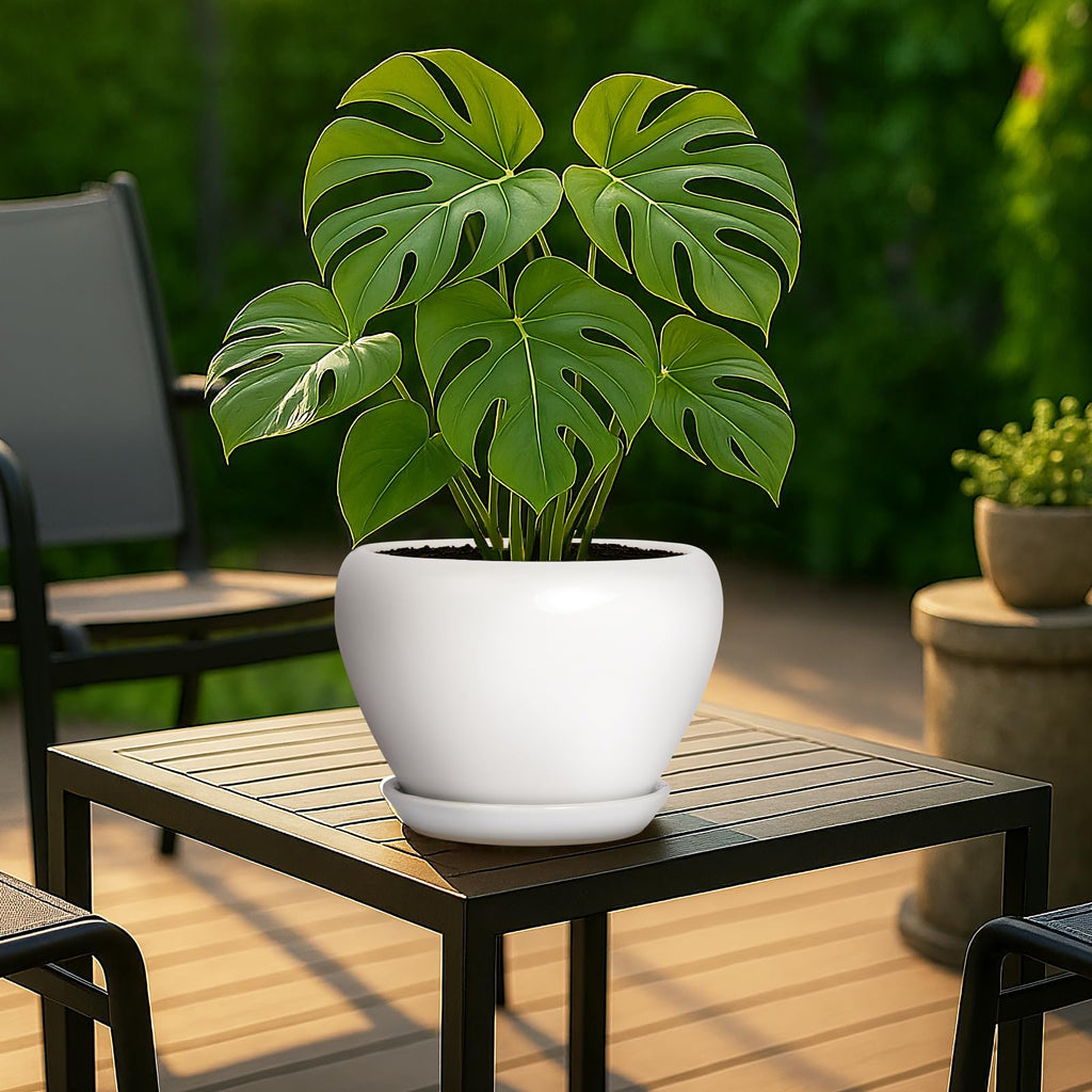 8 Inch Plant Pot - Ceramic Planter with Drainage Hole and Trays, Modern Round Flower Pot, Planters for Indoor Outdoor
