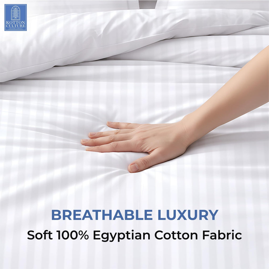 3 Pc Twin Size Duvet Cover Set- 100% Egyptian Cotton 600 TC Ultra Soft Premium Durable Comforter Cover Zipper Closure
