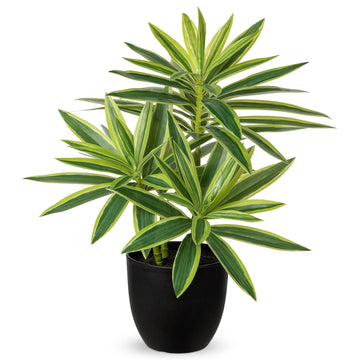 Fake Plants Dracaena Artificial Plant 16.1" Small Indoor Faux Plants in Pot