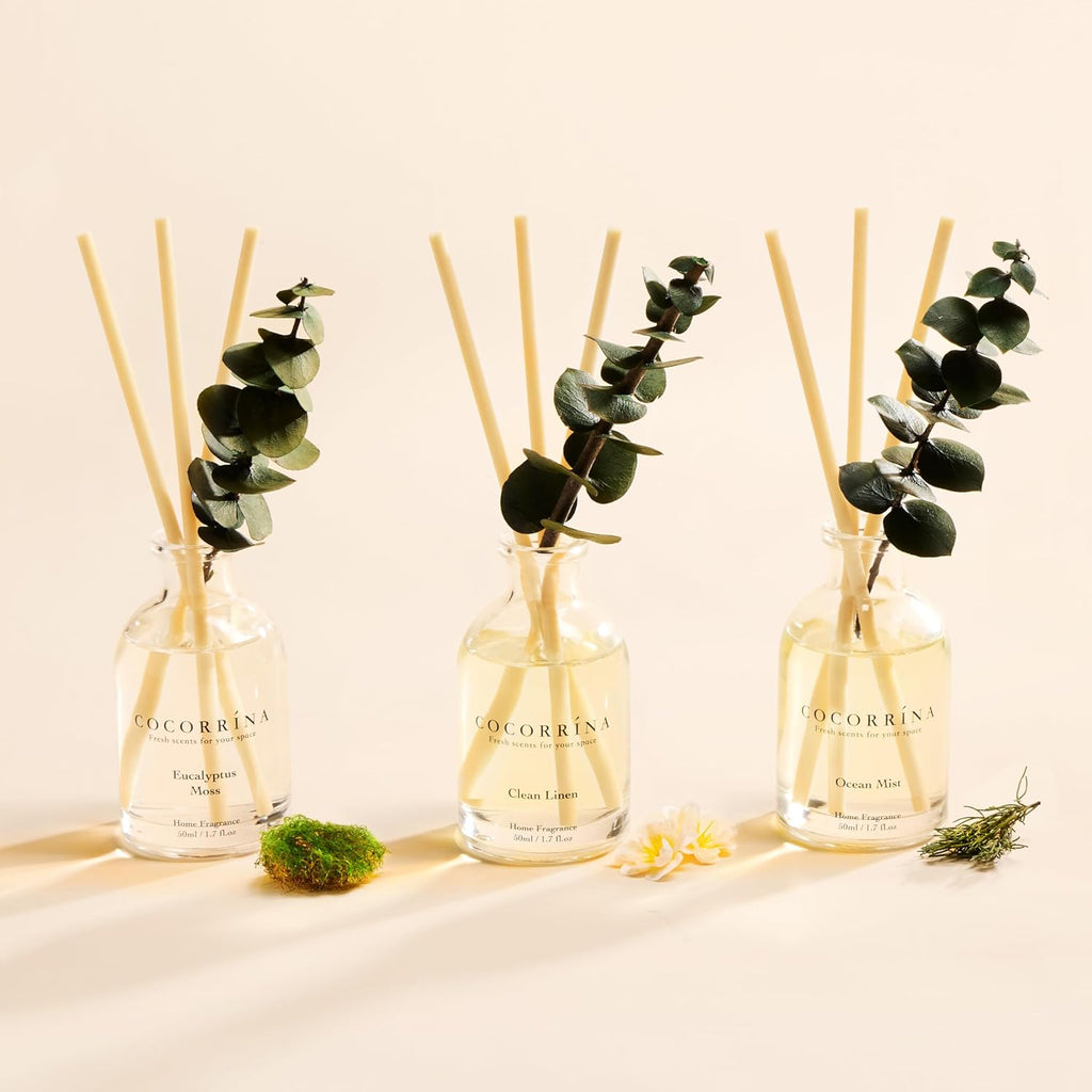 Reed Diffuser with Dried Eucalyptus - Set of 3
