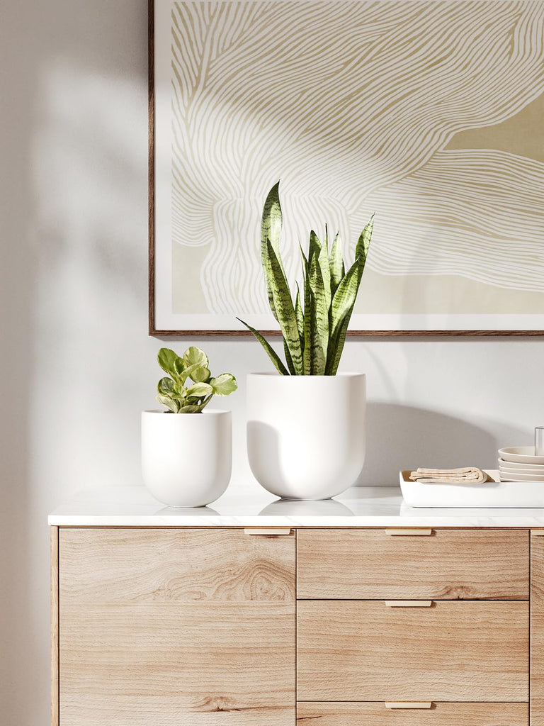 8 Inch Ceramic Plant Pot, Indoor Planter, White