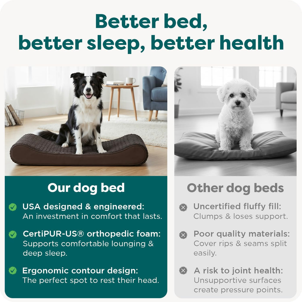 Orthopedic Dog Bed for Dogs w/ Removable Washable Cover, For Dogs Up to 38 lbs - Ultra Plush Faux Fur &